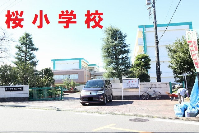 11830画像