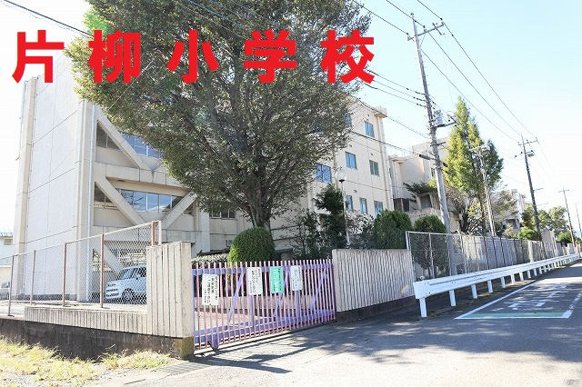 12102画像