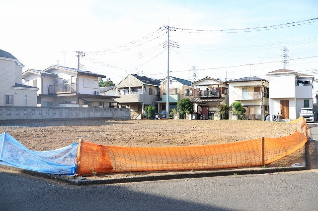 11795画像